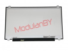 17,3" LED 1600x900 N173FGA-E44 30PIN LEFT SLIM глянец матрица для ноутбука