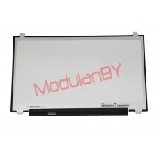 17,3" LED 1600x900 N173FGA-E44 30PIN LEFT SLIM глянец матрица для ноутбука